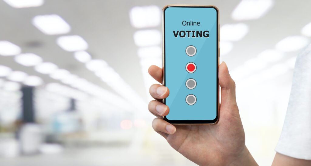 Voto elettronico rinnovo Comites_il Garante dice sì